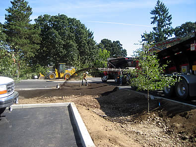 landscape work by NW Wetland Restoration